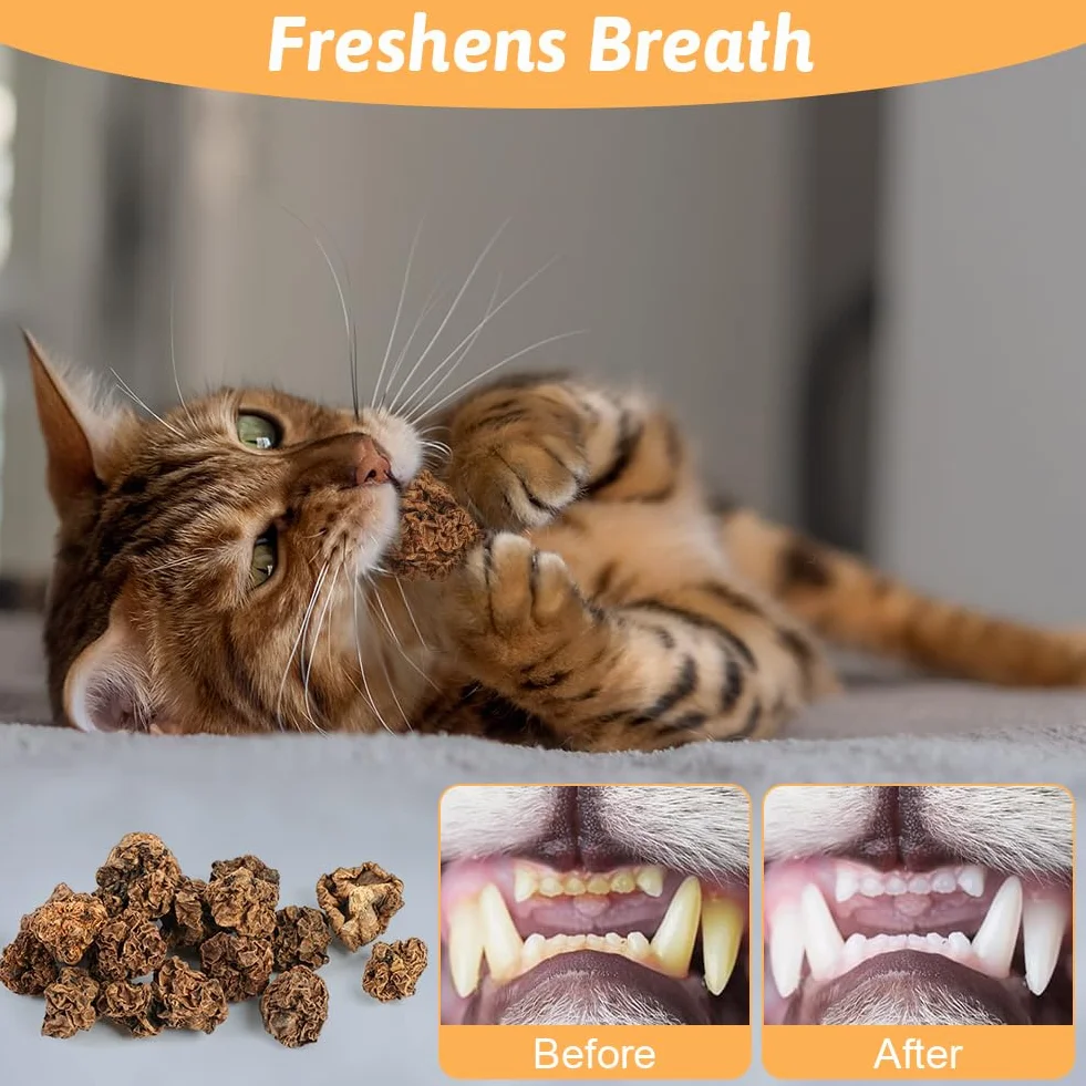 OSDUE Natural Cat Chews Silver Vine, 40 g Suszonych Owoców, Kulki do Żucia dla Kotów, Pielęgnacja Zębów, Naturalna Kocimiętka dla Kociąt Ząbkujących i Łagodzące Stres
