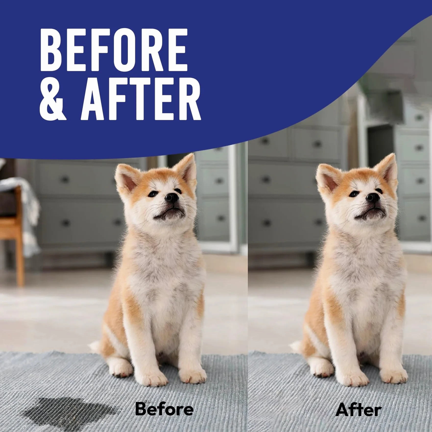 Petsly Pet Odour Remover Spray - 1L - Enzymatyczny środek do czyszczenia moczu kotów i psów - Usuwa zapachy i plamy z tkanin (dywany, sofy) i powierzchni (drewno, marmur) - Zapach cynamonu