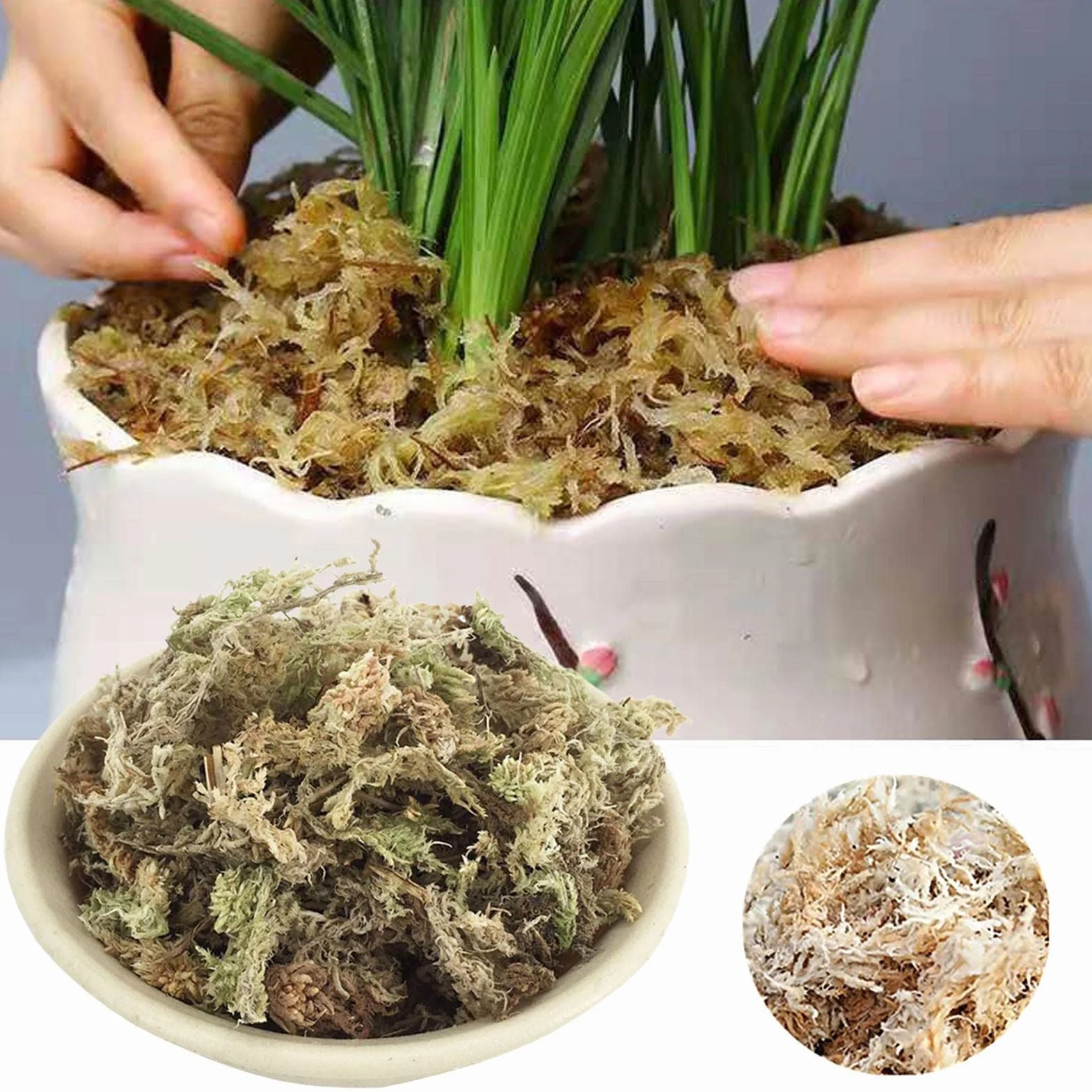 Naturalny mech torfowiec, suszony mech torfowiec - Naturalne storczyki Suszony torfowiec,Soczysty mech do przesadzania, dekoracja terrarium, kwiaty doniczkowe torfowiec do majsterkowania Eubeisaqi