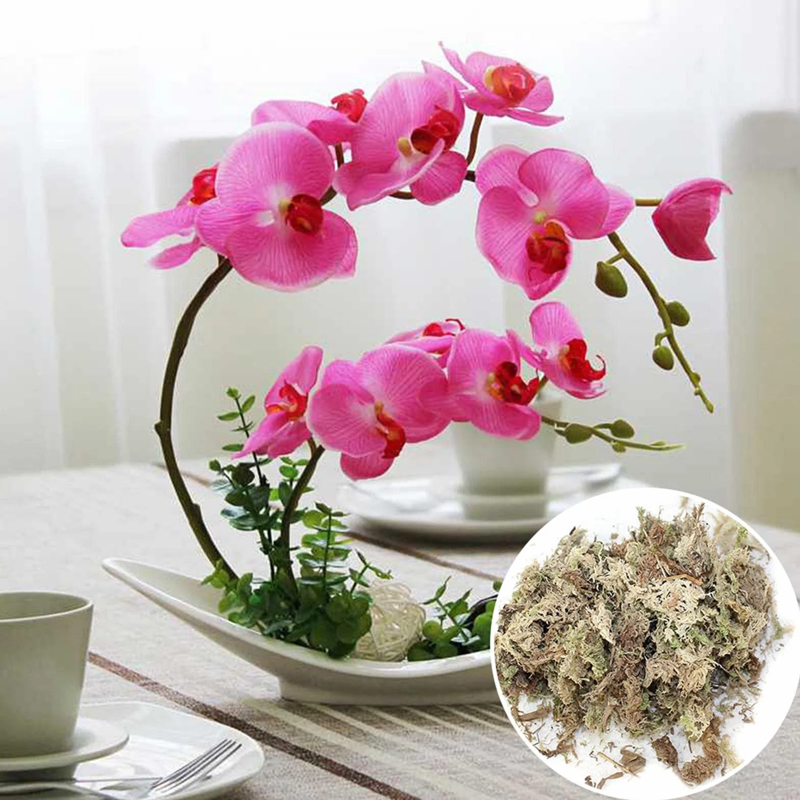 Naturalny mech torfowiec, suszony mech torfowiec - Naturalne storczyki Suszony torfowiec,Soczysty mech do przesadzania, dekoracja terrarium, kwiaty doniczkowe torfowiec do majsterkowania Eubeisaqi