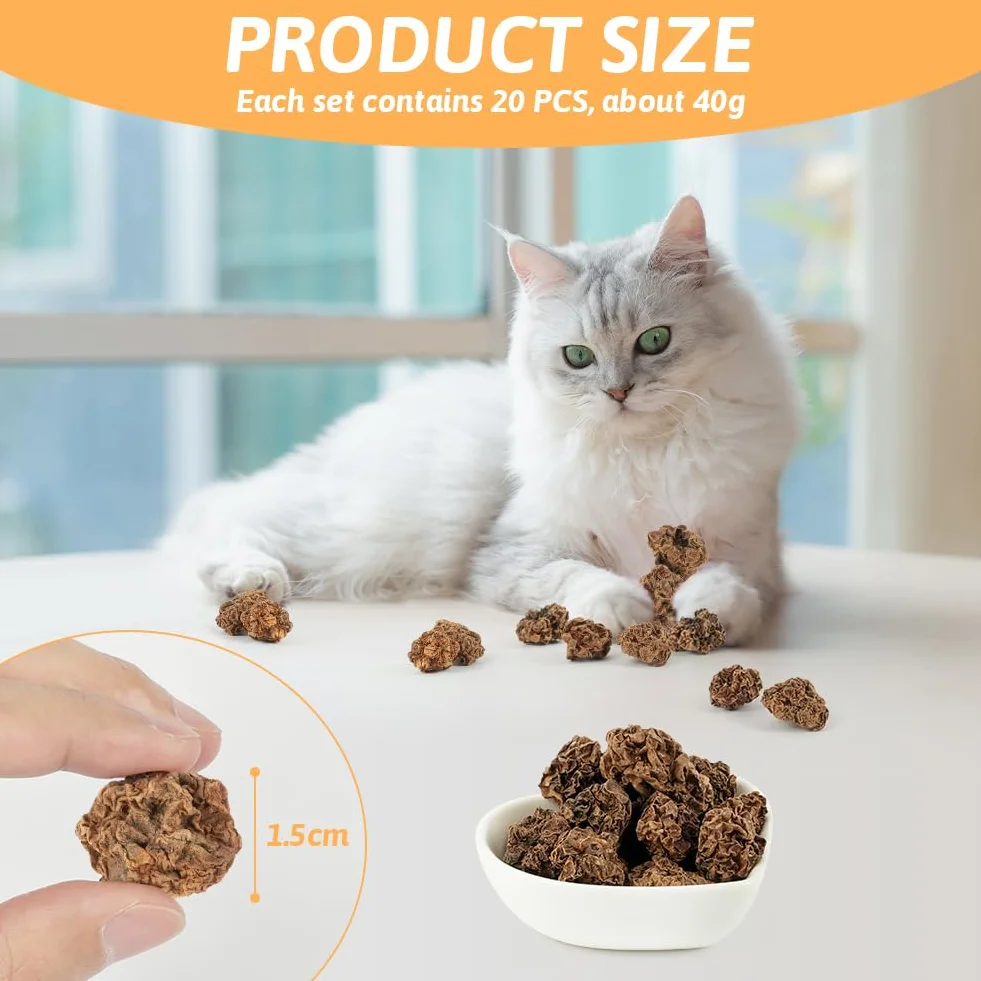 OSDUE Natural Cat Chews Silver Vine, 40 g Suszonych Owoców, Kulki do Żucia dla Kotów, Pielęgnacja Zębów, Naturalna Kocimiętka dla Kociąt Ząbkujących i Łagodzące Stres