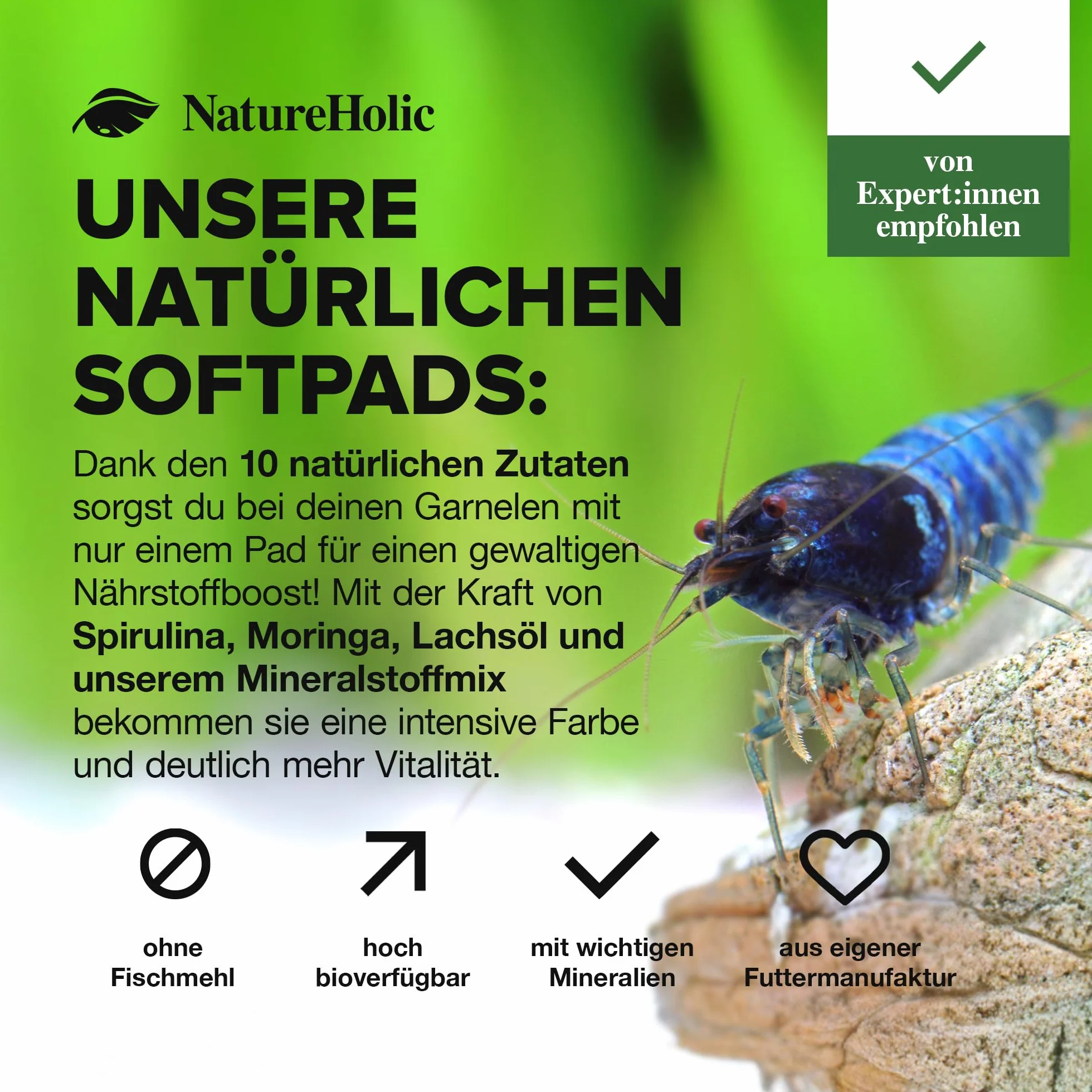 NatureHolic - Karma dla krewetek Mainfeed I pokarm dla krewetek w akwarium I Made in Germany I nie zawiera mączki rybnej I dla lepszego wzrostu i budowy zbiornika, 30 g