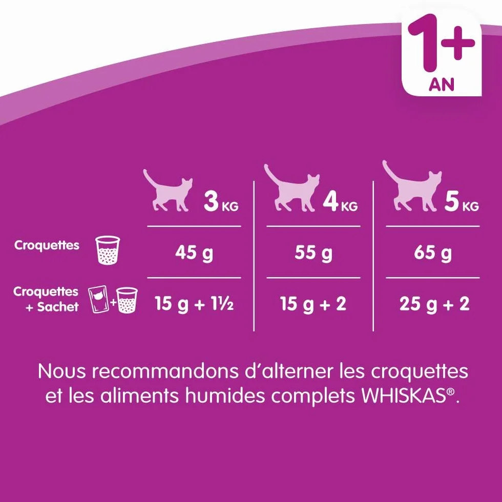 Whiskas Adult 1 + 5900951259227 Karma dla Dorosłych Kotów, 7Kg