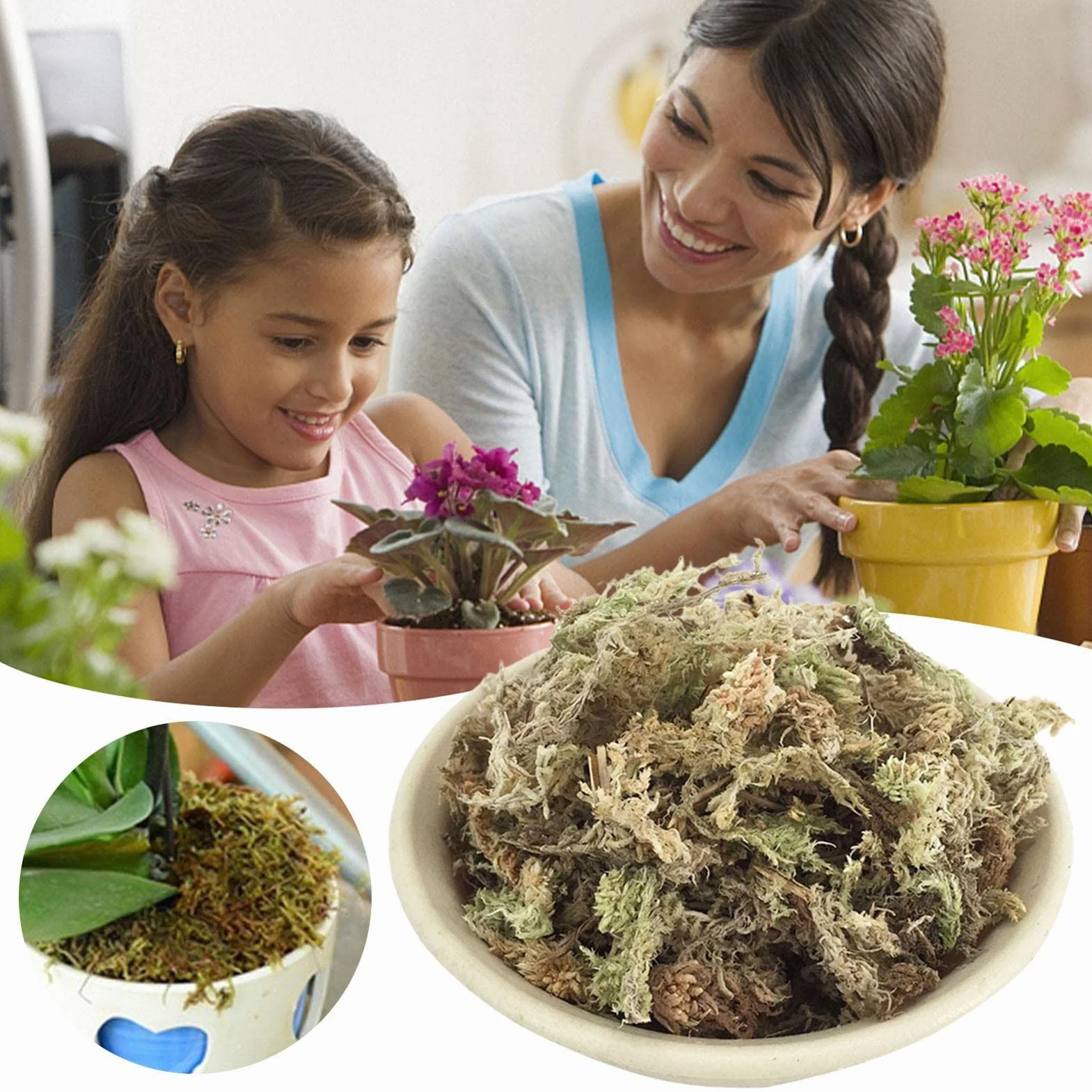 Naturalny mech torfowiec, suszony mech torfowiec - Naturalne storczyki Suszony torfowiec,Soczysty mech do przesadzania, dekoracja terrarium, kwiaty doniczkowe torfowiec do majsterkowania Eubeisaqi