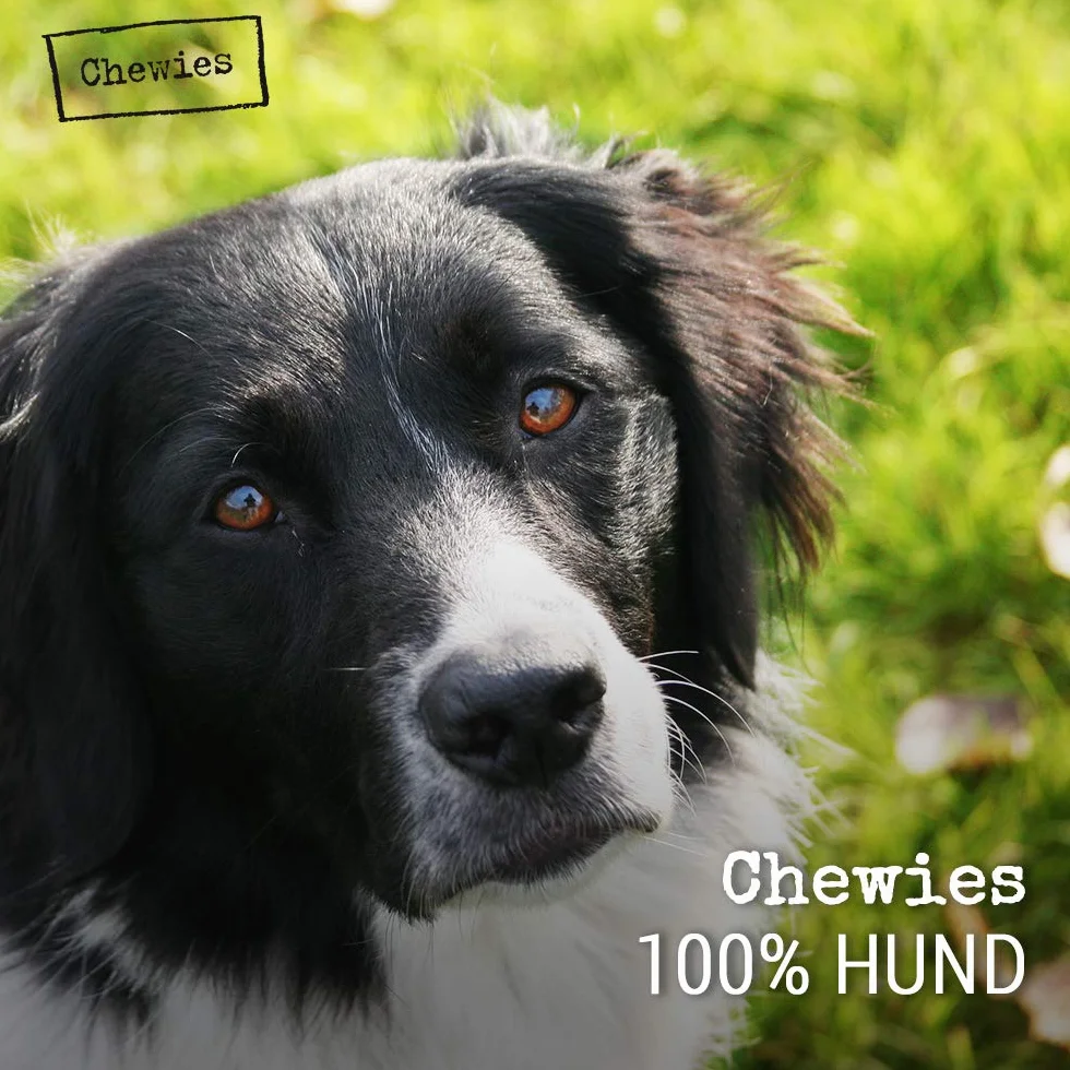 Chewies Drewno oliwkowe żucie kość zabawka dla psa 100% naturalne akcesoria dla psów zabawka do żucia pies do 10 kg rozmiar S
