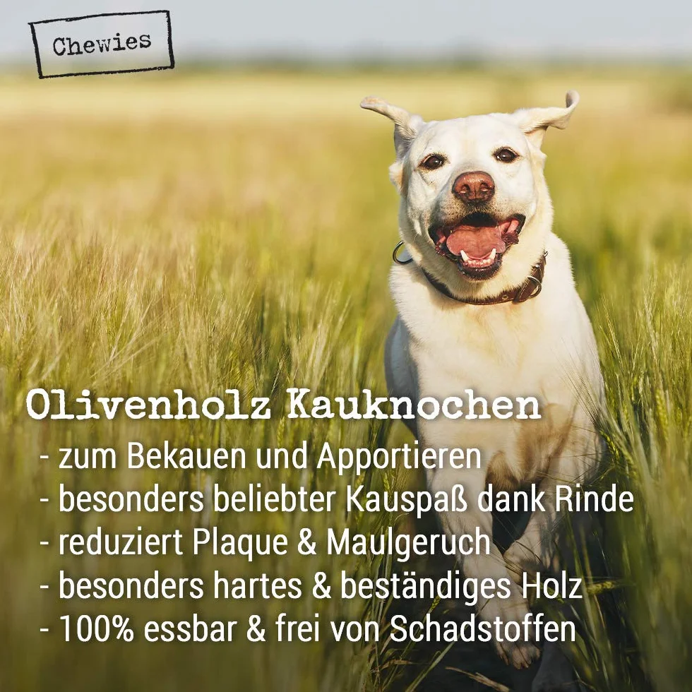 Chewies Drewno oliwkowe żucie kość zabawka dla psa 100% naturalne akcesoria dla psów zabawka do żucia pies do 10 kg rozmiar S
