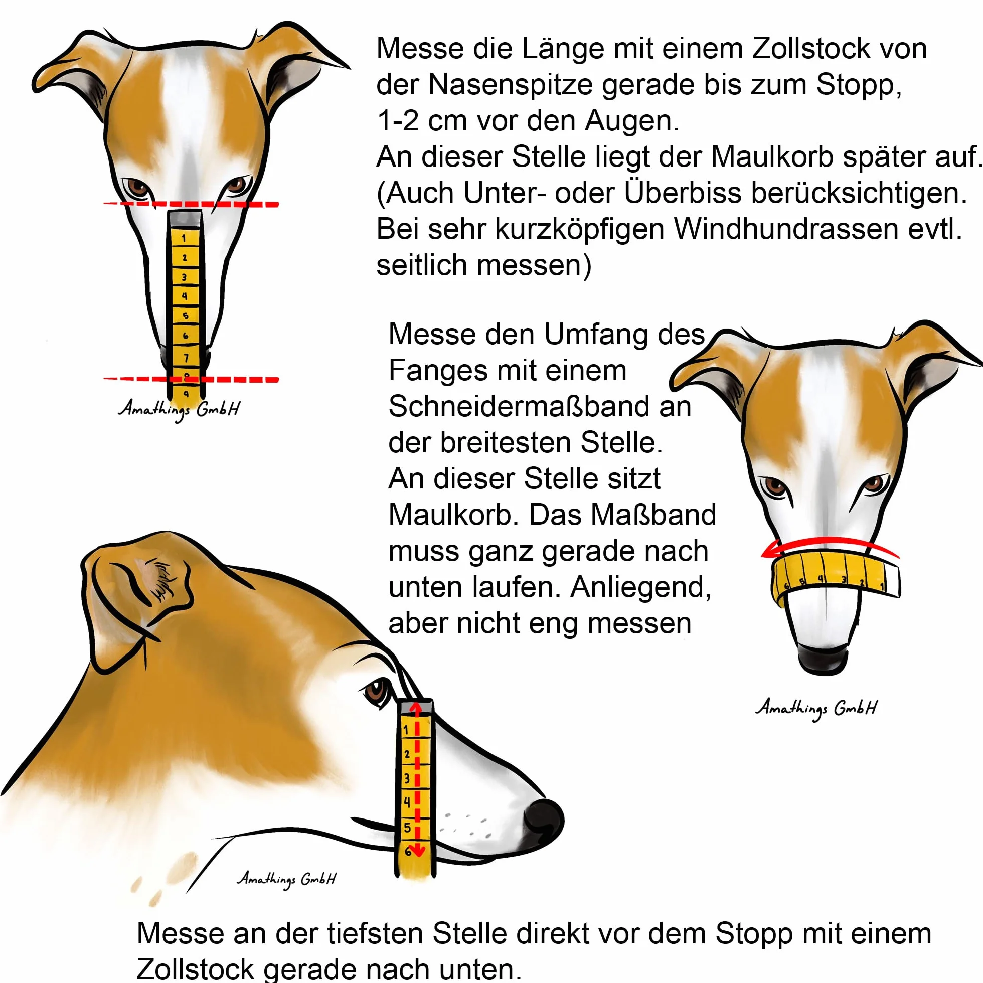 Don Pare 107 chartów kaganiec wyścigowy w kolorze czarnym dla psów Lurcher Sloughi Saluki z długim, smukłym kształtem pyska z regulowanym paskiem? Kaganiec do treningu lub wyścigów