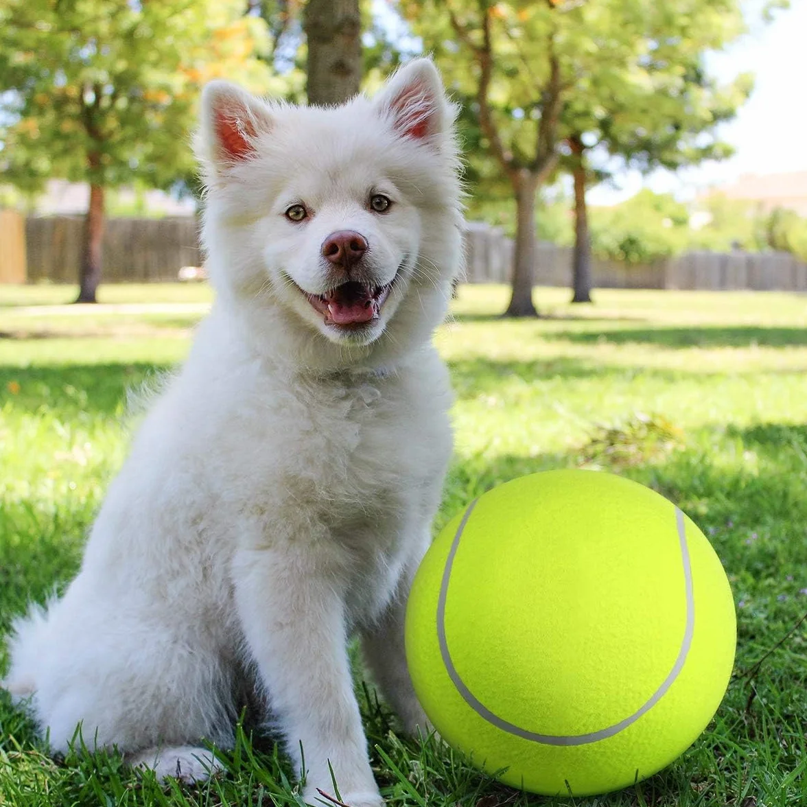 9.5" Large Tennis Ball Pet Toy Mega Jumbo Dogs Play Supplies Fun Outdoor Sports Beach Cricket