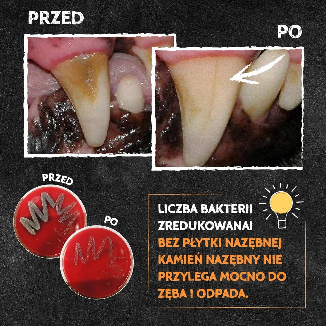 QCHEFS Puffed Cracker przekąska do pielęgnacji zębów dla psów do gryzienia kości na zapach oddechu, zapalenie dziąseł, usuwanie kamienia nazębnego