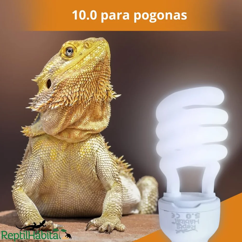 Żarówka UVB 5.0 UVA 13 W do terrarium dla gadów, roślin i żółwi, E27 idealna lampa dla żółwi i pochodni