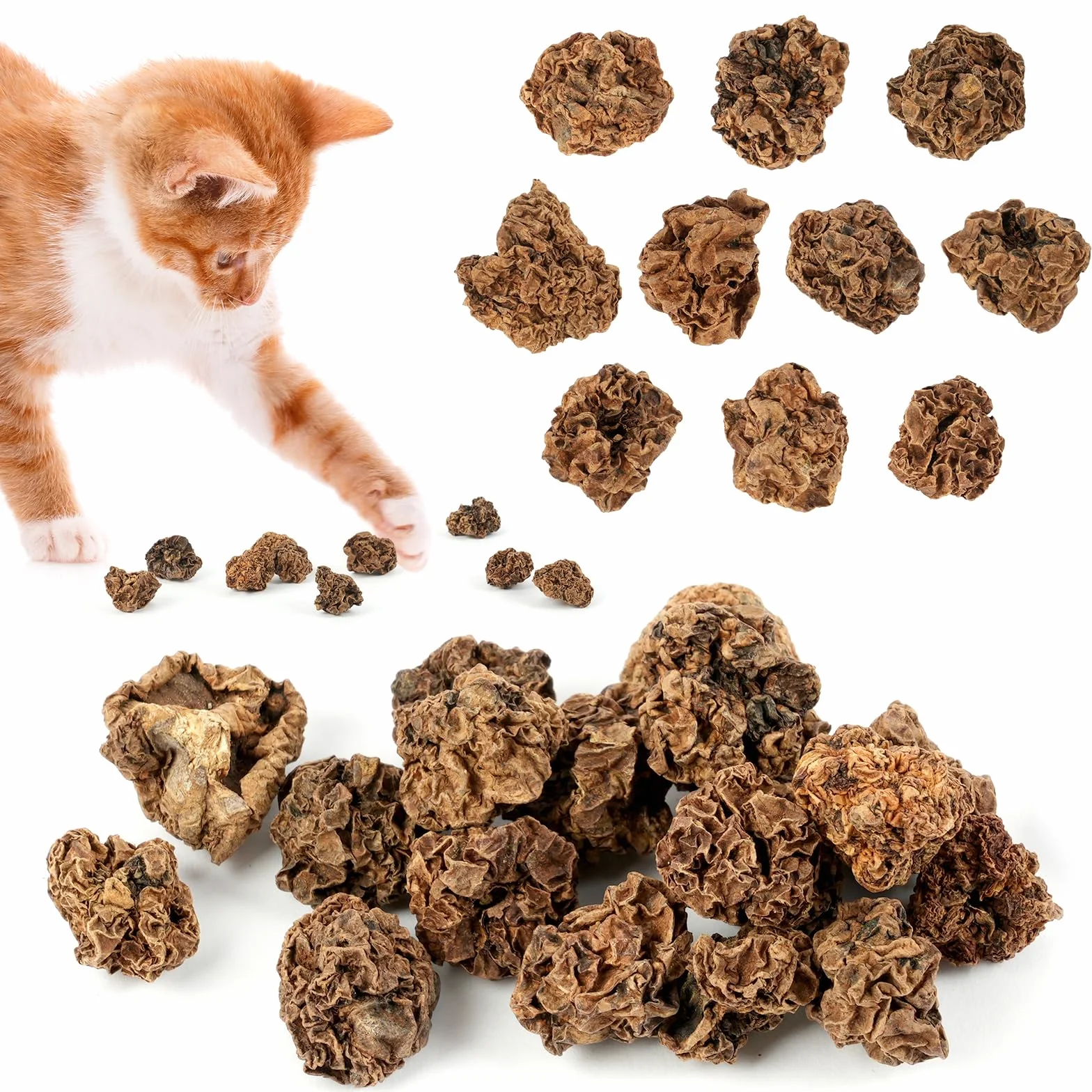 OSDUE Natural Cat Chews Silver Vine, 40 g Suszonych Owoców, Kulki do Żucia dla Kotów, Pielęgnacja Zębów, Naturalna Kocimiętka dla Kociąt Ząbkujących i Łagodzące Stres