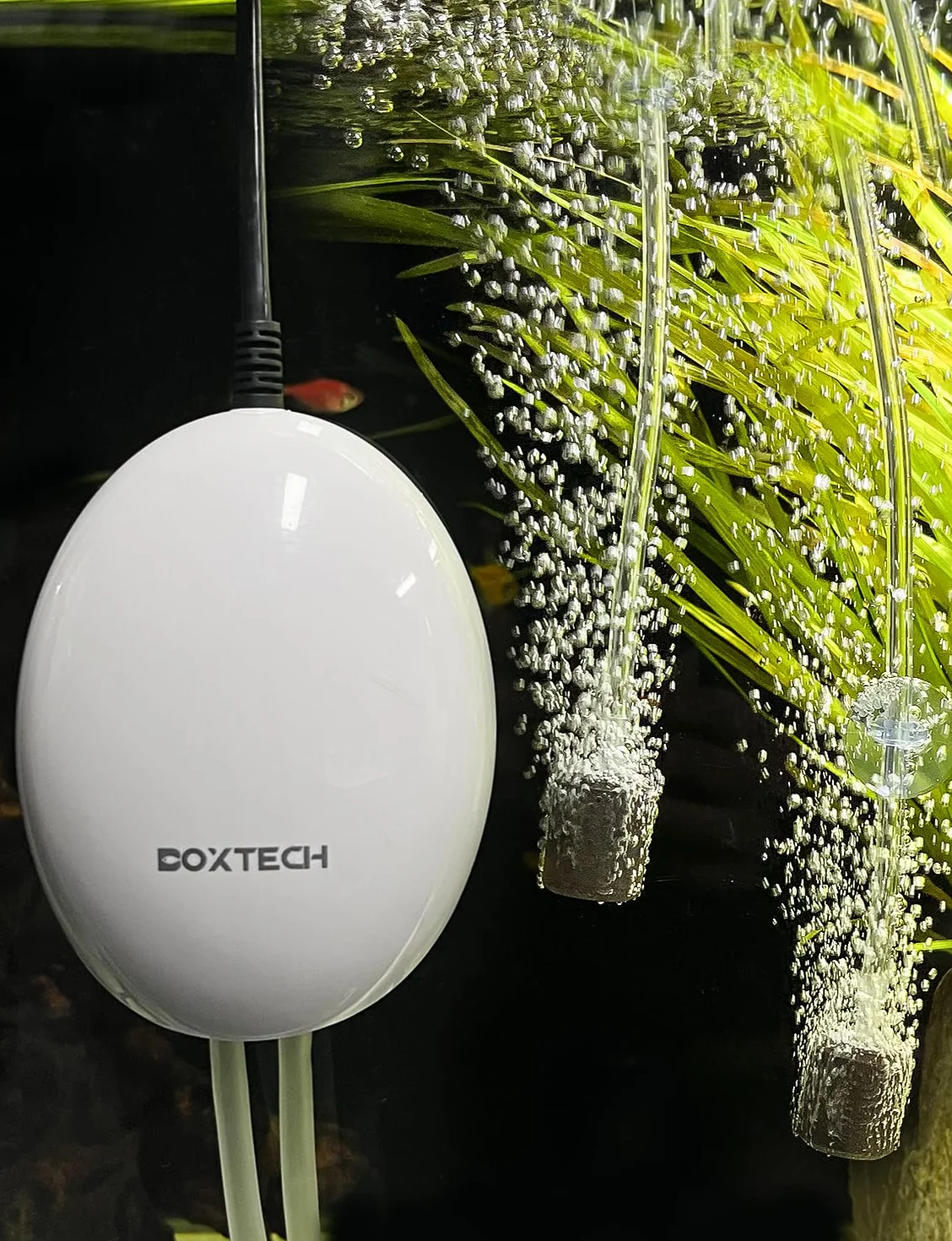 Pompa powietrza do akwarium, kamień bąbelkowy, zawór zwrotny i zawór sterujący, do akwarium 1-150 l (2,5 W)