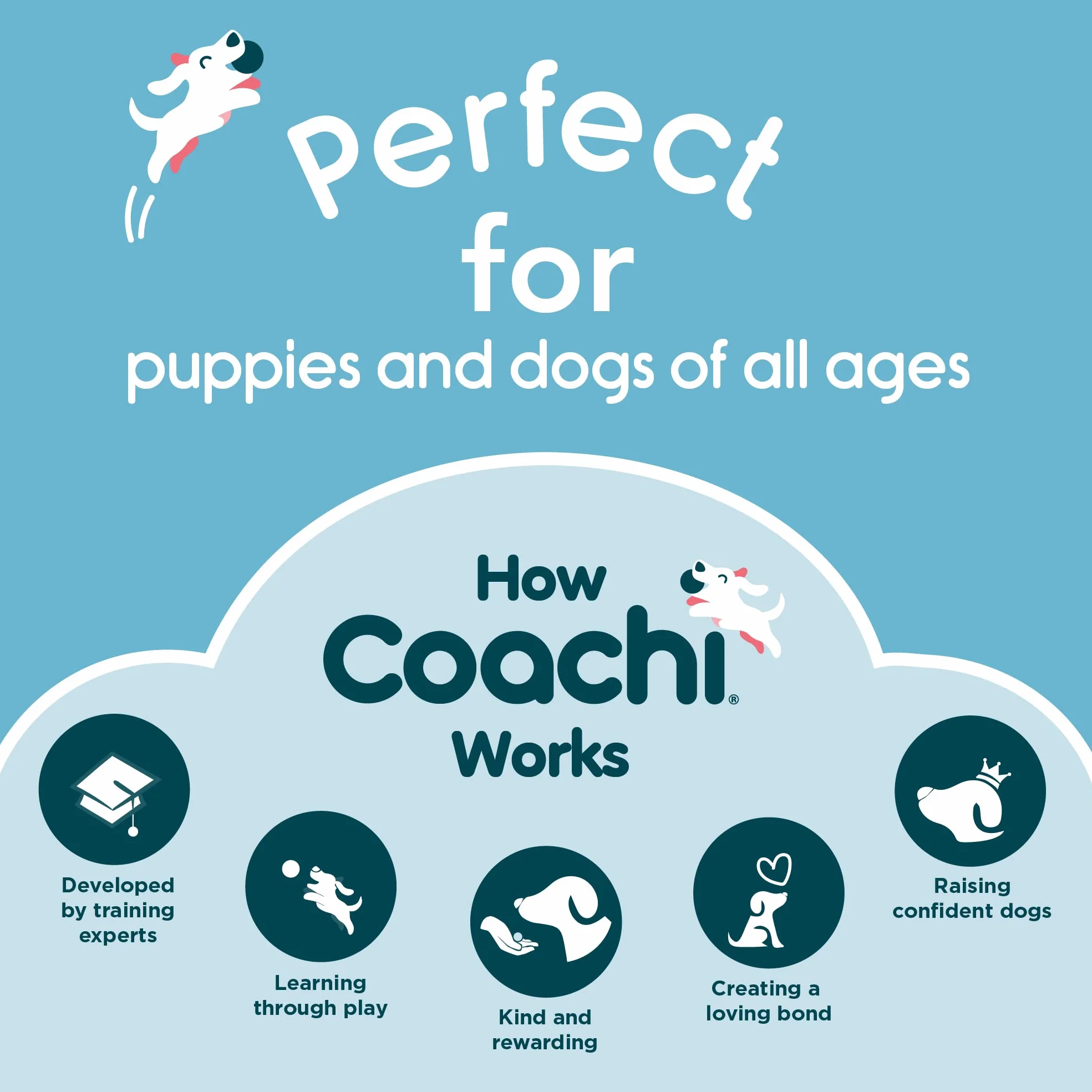 Coachi Multi-Clicker, dog Accessory, Volume Control with 3 Settings, Easy to Click, Adjustable Wrist Strap, Dog Clicker, For Dog Training, Including Sensitive Dogs and Puppies.