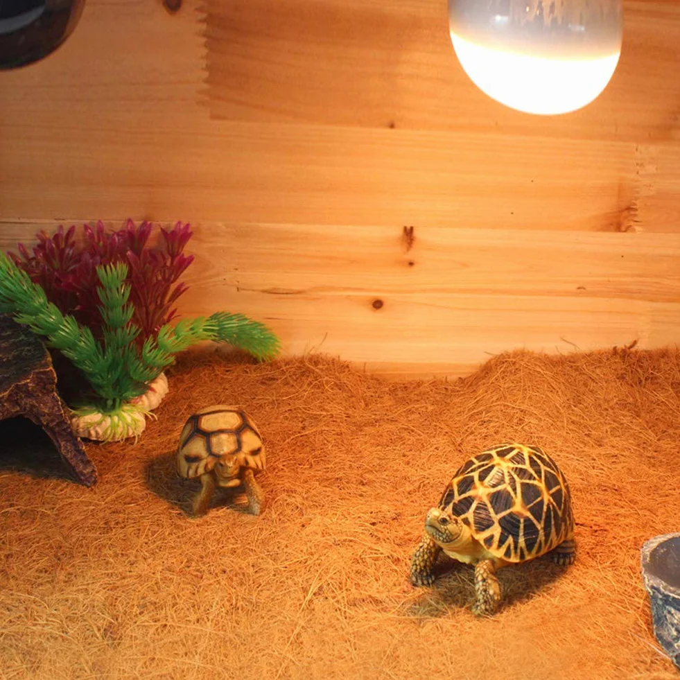 Gad dywan z włókna kokosowego wąż pościel mata podłogowa jaszczurka Terrarium klatka architektura krajobrazu podkładka podłogowa dla brodatych żółwi smoka żółwie Lguana