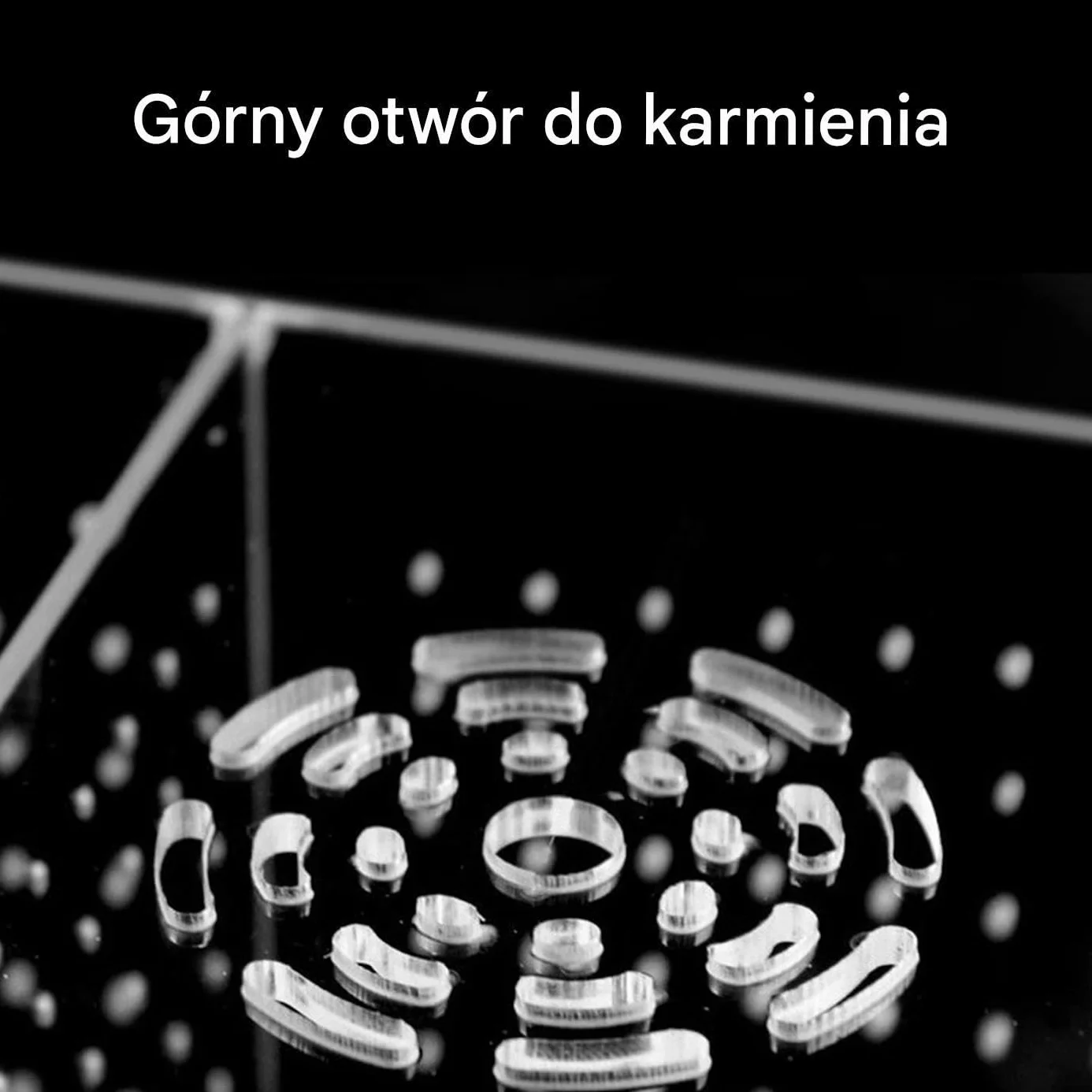 Pojemnik Hodowlany Do Akwarium - Pojemnik Do Rozrodu Ryb Z Przyssawkami | Stabilna Przegroda Wylęgarnia Dla Narybku Skalara Gupika Bojownika I Krewetek Aklimatyzacja