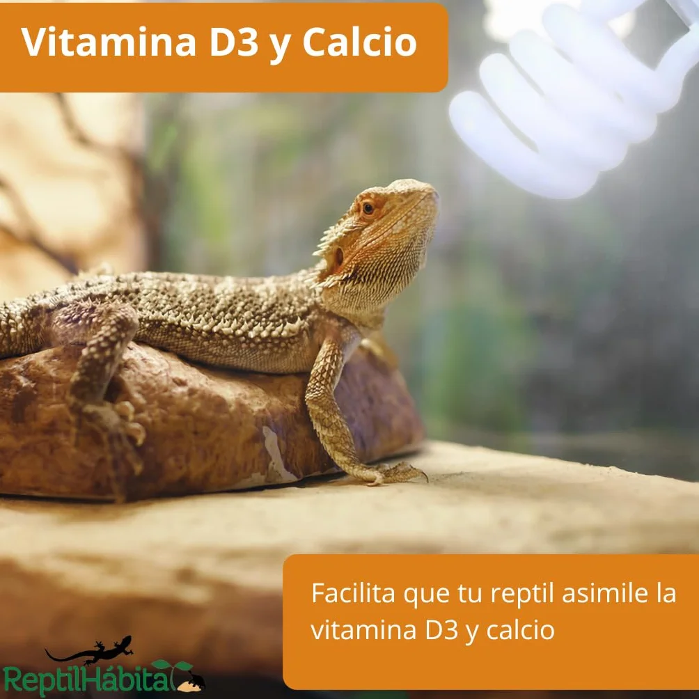 Żarówka UVB 5.0 UVA 13 W do terrarium dla gadów, roślin i żółwi, E27 idealna lampa dla żółwi i pochodni