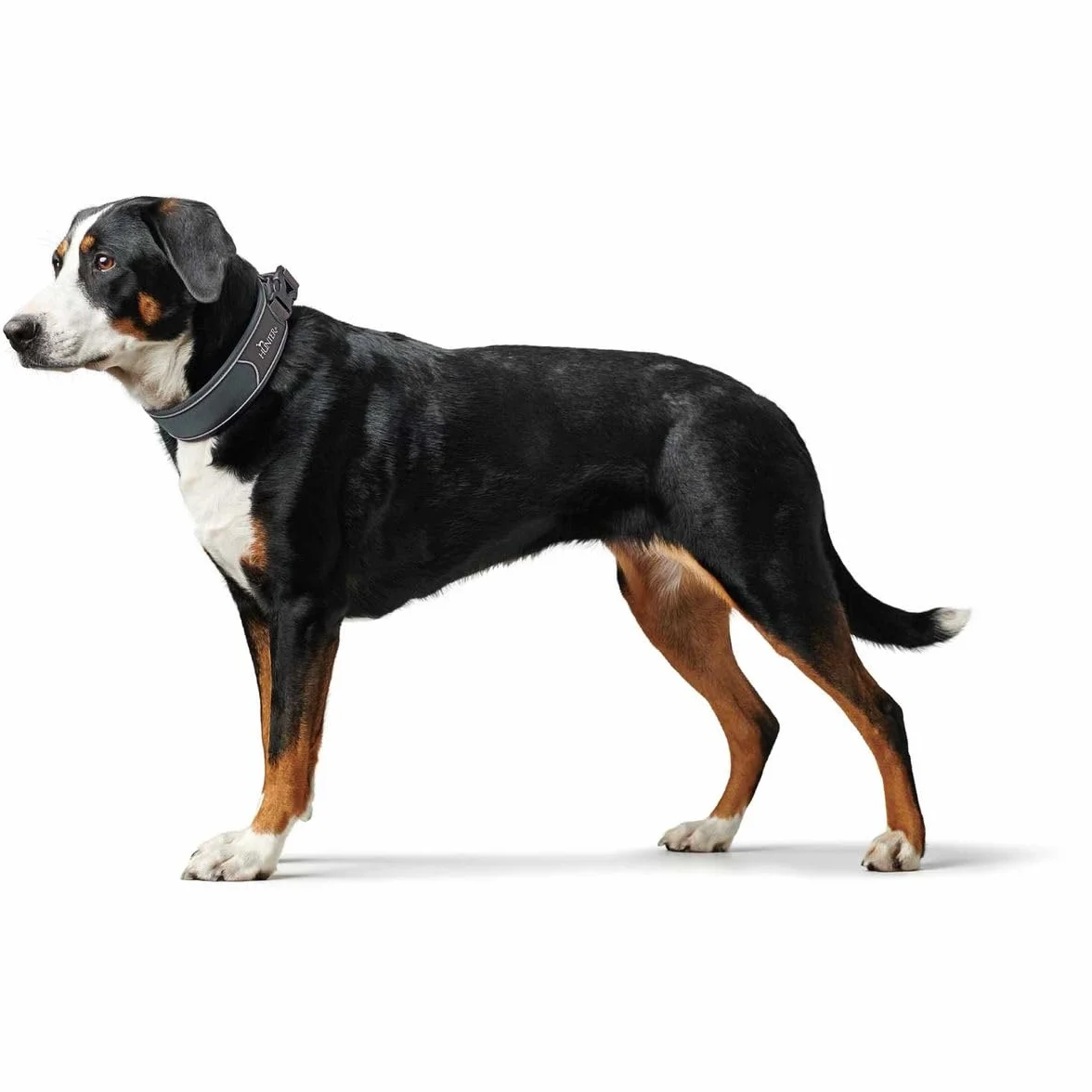 Hunter 4016739676252 25-35 cm Divo naszyjnik szary, szary