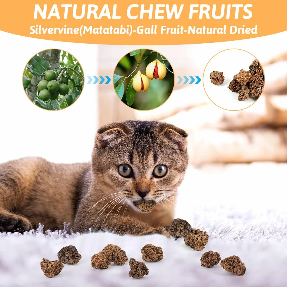 OSDUE Natural Cat Chews Silver Vine, 40 g Suszonych Owoców, Kulki do Żucia dla Kotów, Pielęgnacja Zębów, Naturalna Kocimiętka dla Kociąt Ząbkujących i Łagodzące Stres