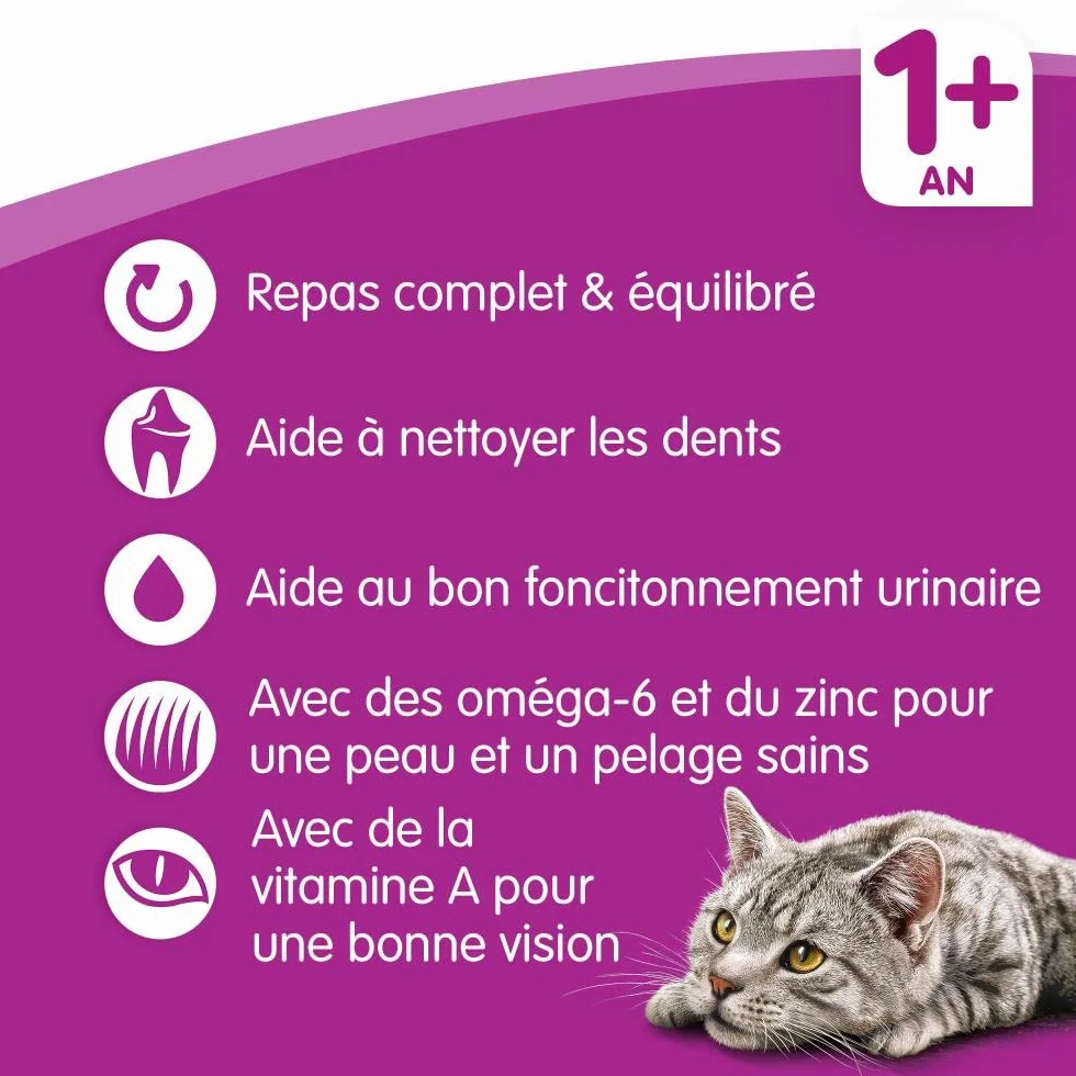 Whiskas Adult 1 + 5900951259227 Karma dla Dorosłych Kotów, 7Kg