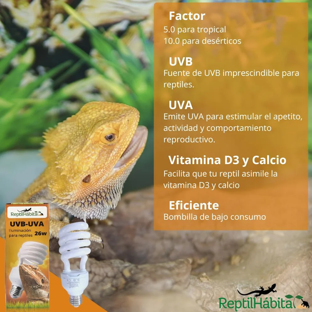 Żarówka UVB 5.0 UVA 13 W do terrarium dla gadów, roślin i żółwi, E27 idealna lampa dla żółwi i pochodni