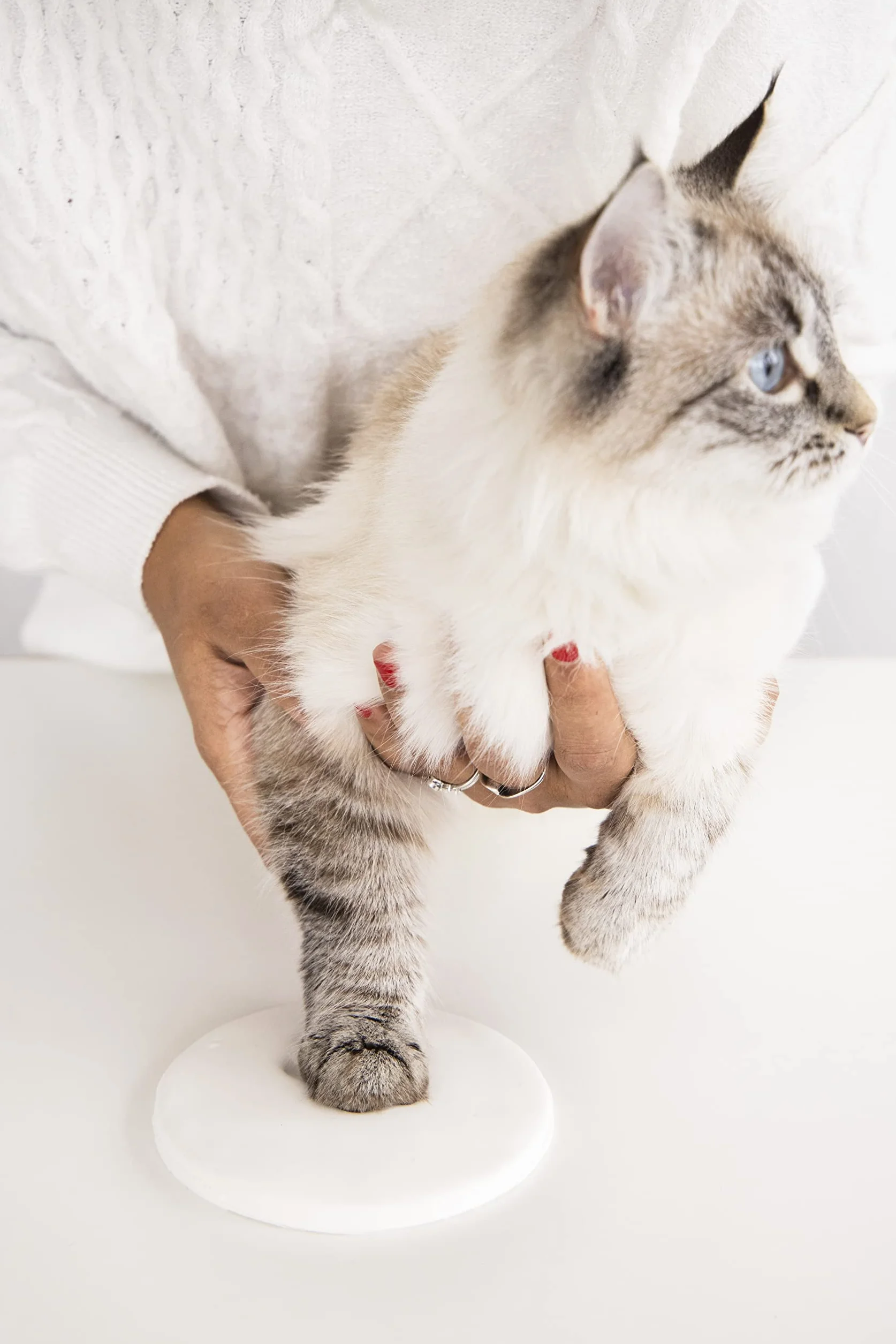 Pearhead Pet Paw Prints pies lub kot łapa nadruk pamiątka ozdoba, kreatywna pamiątka przez cały rok, doskonała dla każdego miłośnika zwierząt domowych lub właściciela zwierząt domowych