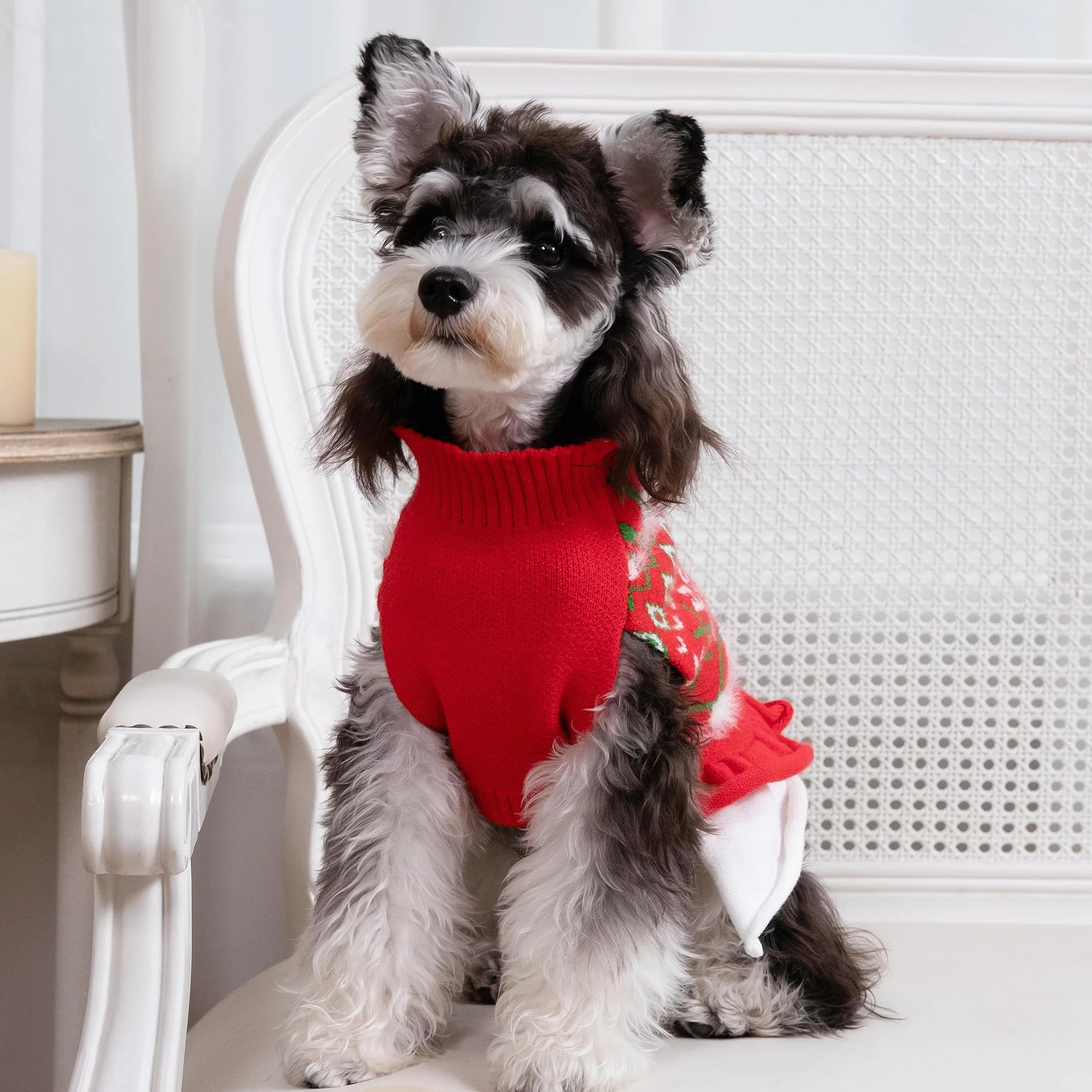 CuteBone Świąteczny czerwony sweter dla psa, sukienka śnieżynka, zimowy płaszcz dla szczeniaka, sukienka z falbanką dla psa, odzież dla kota z otworem na smycz dla małych i średnich psów DS85M-PL