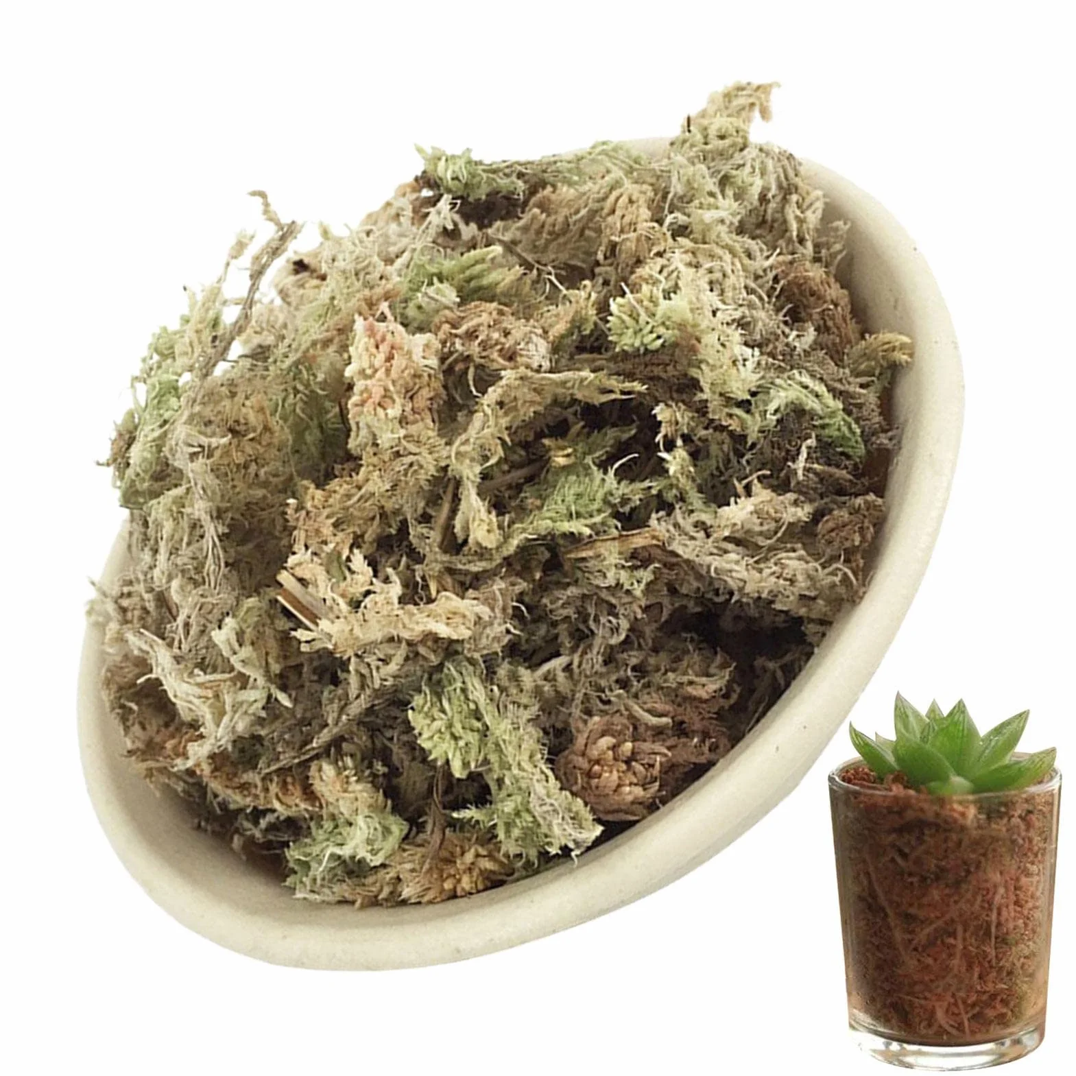 Naturalny mech torfowiec, suszony mech torfowiec - Naturalne storczyki Suszony torfowiec,Soczysty mech do przesadzania, dekoracja terrarium, kwiaty doniczkowe torfowiec do majsterkowania Eubeisaqi