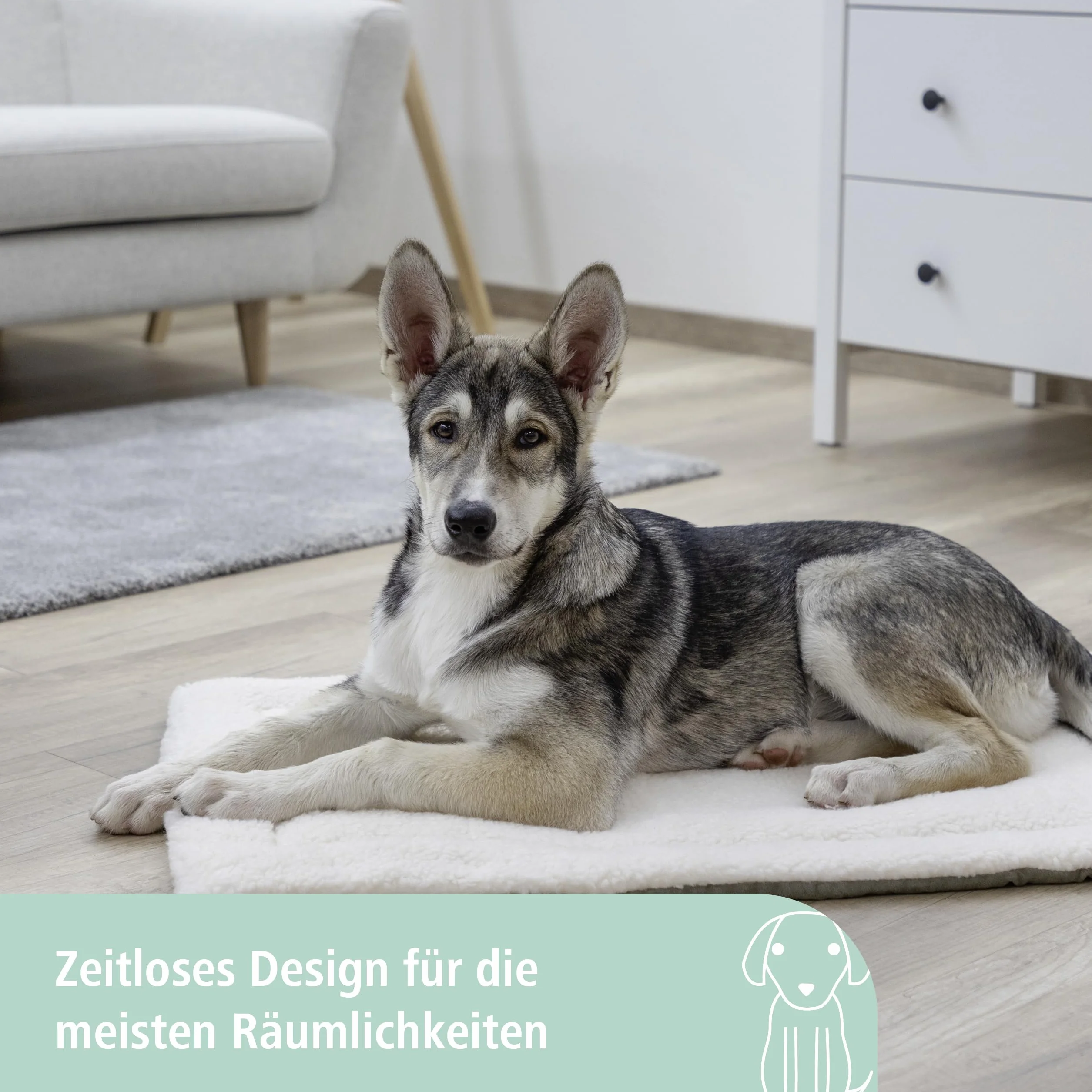 Kerbl Pet Pet Cleo poduszka do leżenia, dwustronna poduszka dla psów i kotów, legowisko dla psów/kotów z miękkim pluszem i welurem, nadaje się jako wkładka do pudełek transportowych, 48 x 29 x 3 cm,