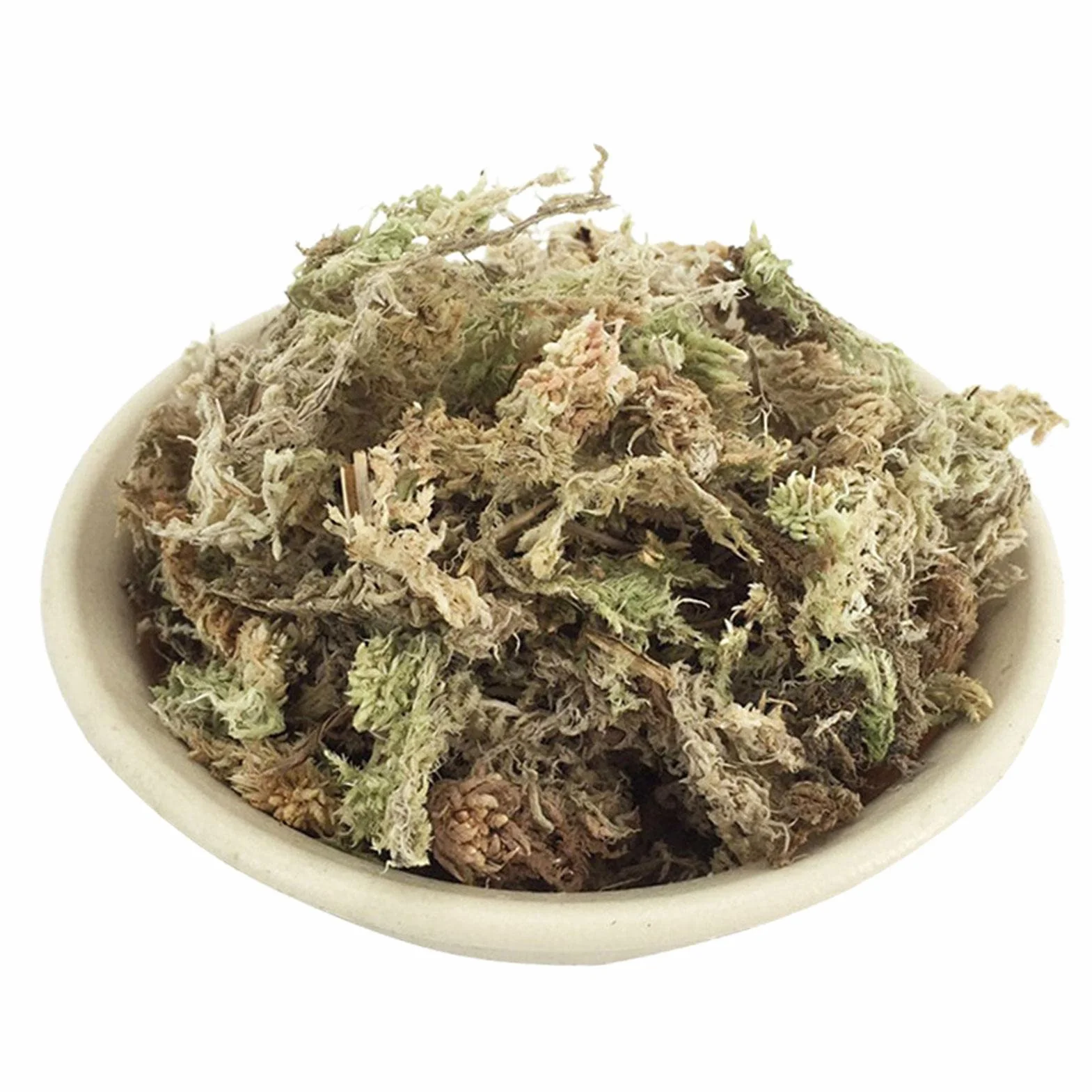 Naturalny mech torfowiec, suszony mech torfowiec - Naturalne storczyki Suszony torfowiec,Soczysty mech do przesadzania, dekoracja terrarium, kwiaty doniczkowe torfowiec do majsterkowania Eubeisaqi