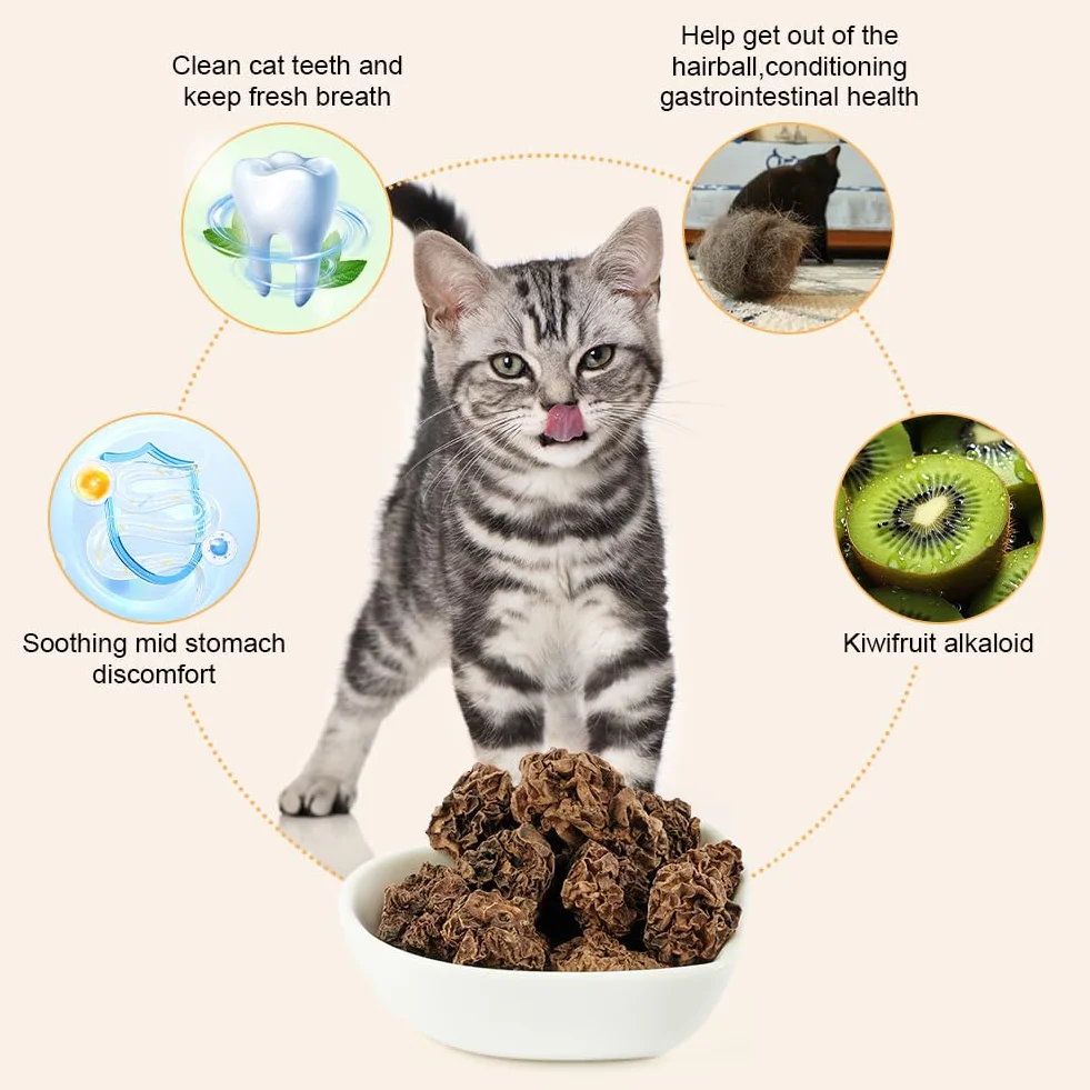 OSDUE Natural Cat Chews Silver Vine, 40 g Suszonych Owoców, Kulki do Żucia dla Kotów, Pielęgnacja Zębów, Naturalna Kocimiętka dla Kociąt Ząbkujących i Łagodzące Stres