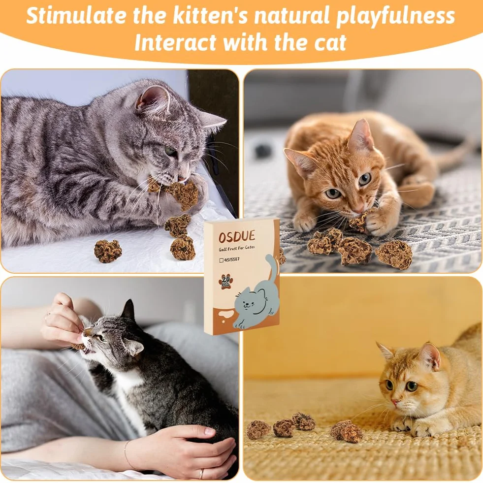 OSDUE Natural Cat Chews Silver Vine, 40 g Suszonych Owoców, Kulki do Żucia dla Kotów, Pielęgnacja Zębów, Naturalna Kocimiętka dla Kociąt Ząbkujących i Łagodzące Stres